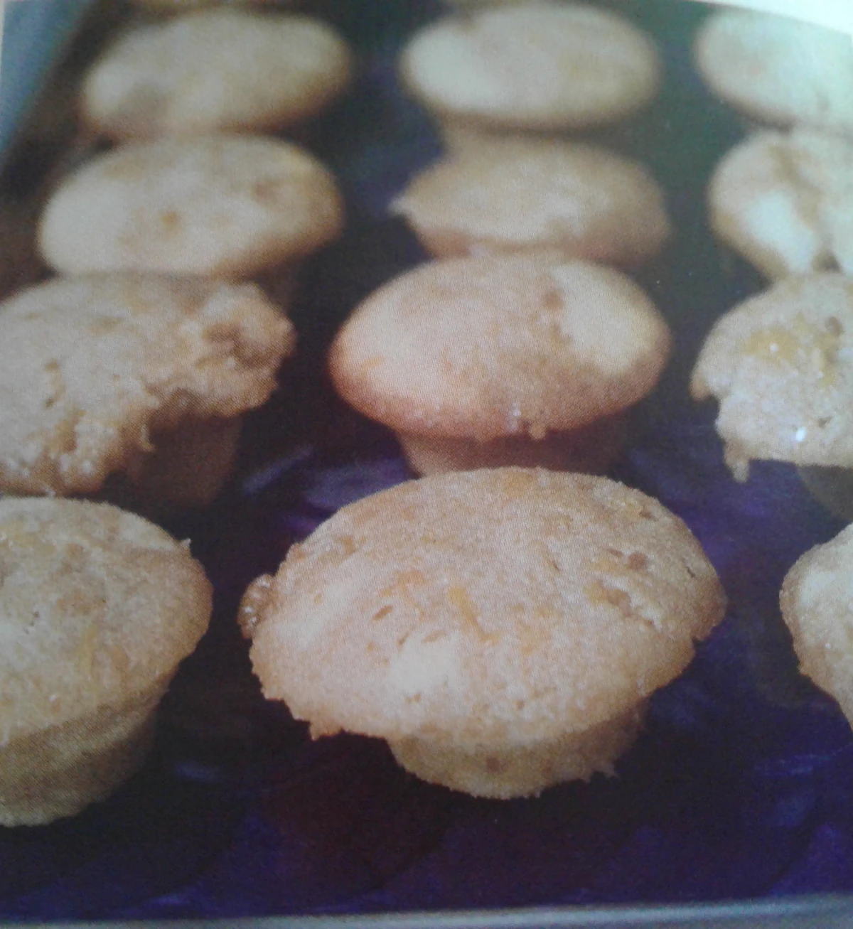 Marmalade Muffins Pioneer Woman Wiki Fandom