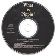 Mac What is Pippin?