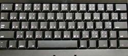 Pippin Atmark (black) | Pippin @World & Atmark Wiki | Fandom Pippin Atmark (black) | Pippin @World & Atmark Wiki | Fandom