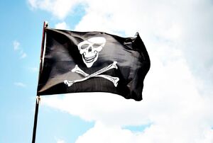 Bandera Portada.jpg