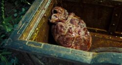 The still-beating heart of Davy Jones, buried in the Dead Man's Chest.