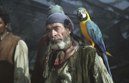 Cotton and his parrot.jpg