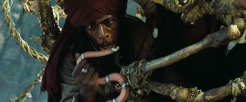 Leech accidentally grabs a snake.