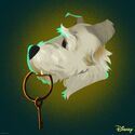 Dog with the key