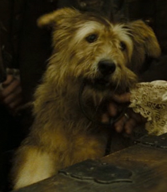 Prison Dog | Pirates of the Caribbean Wiki | Fandom