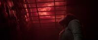 Carina Smyth with blood moonlight shining on her