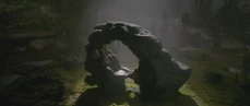 The Fountain of Youth