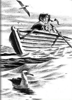Seagulls either swimming or flying around young Jack Sparrow on a boat.