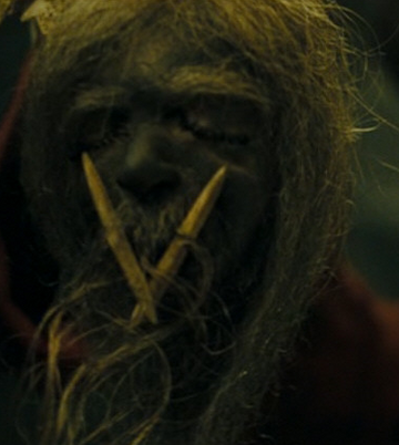 ジャック・スパロウの母親 | パイレーツ・オブ・カリビアン Wiki