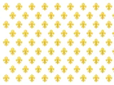 French Royal Navy