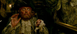 Auctioneer | Pirates of the Caribbean Wiki | Fandom