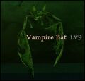 Vampire bat