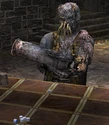 Cannon Arm as a playable character playing Liar's Dice.