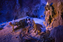 A mermaid skeleton in Dead Man's Cove in the Magic Kingdom at Walt Disney World.