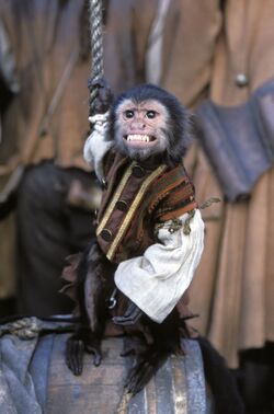Hector Barbossa's pet monkey named "Jack" after Jack Sparrow.