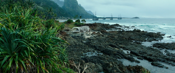 Hangman's Bay Dead whale