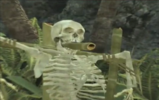 Skeleton AWE game