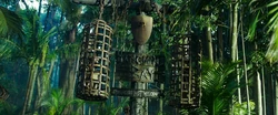 The gibbets displayed on the island of Hangman's Bay.