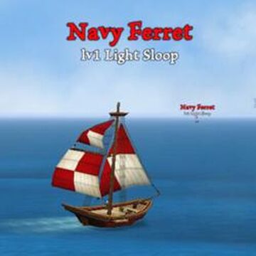 Ferret pirate ship cheap