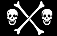 Bonnets Jolly Roger