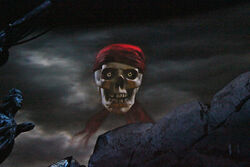 Pirate Skull, The Pirates Code, Before Sailing Each Crew Member Must Swear  Cu