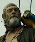 コットン (72キロバイト) コットン