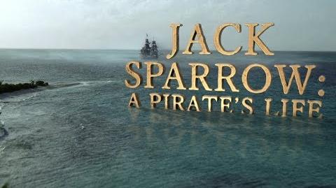 Jack Sparrow A Pirate's Life