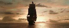 Black pearl.jpg