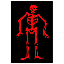 Edward Low Anything Pirates Wiki Fandom