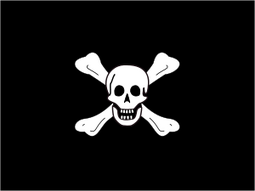 Pirate Bay revived by rival piracy site, Piracy