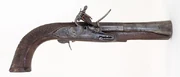 Real blunderbuss