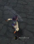Roundhouse