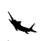 Black Swordfish Emblem.png