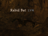 Rabid Bat