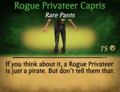 Rogue Privateer