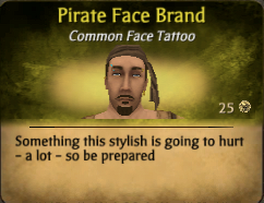 Pirate Face Tattoos Makeup for sale  eBay