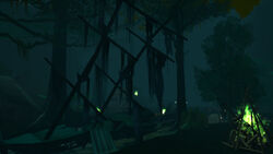 Hollowed Woods