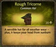 Light Blue Rough Tricorne