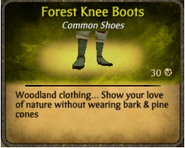 Forest Knee Boots Dolores Tailoring Shoppe