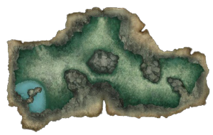 Map of Jungle Cover