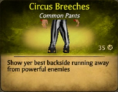 Circus breeches.png