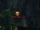 Bowbreaker