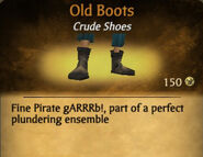 Old Boots.jpg