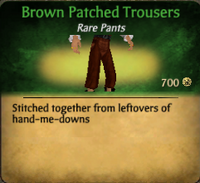 Brown Patched Trousers