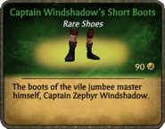 Captain Windshadow's Short Boots