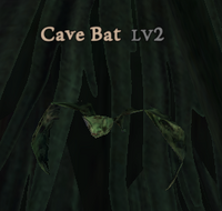 Cave Bat