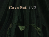 Cave Bat