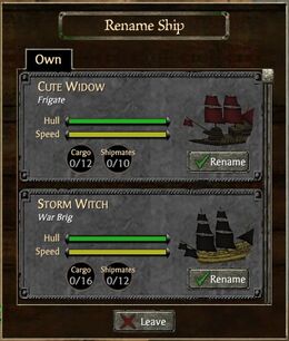 Ship Rename 2