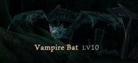 Vampire Bat