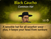 Black Gaucho